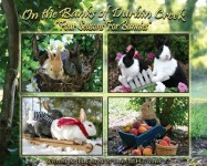 Four Seasons For Bunnies