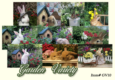 Garden Variety Boxed Set