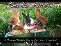 Garden Gate Rabbit Park Calendar 2013